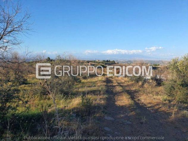 terreno agricolo in vendita a Carlentini