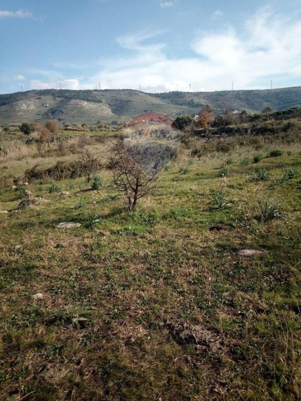 terreno agricolo in vendita a Carlentini