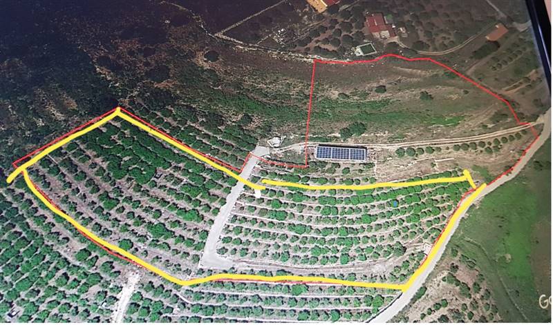 terreno agricolo in vendita a Carlentini