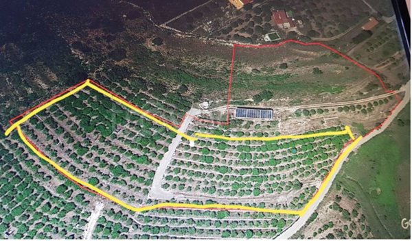 terreno agricolo in vendita a Carlentini