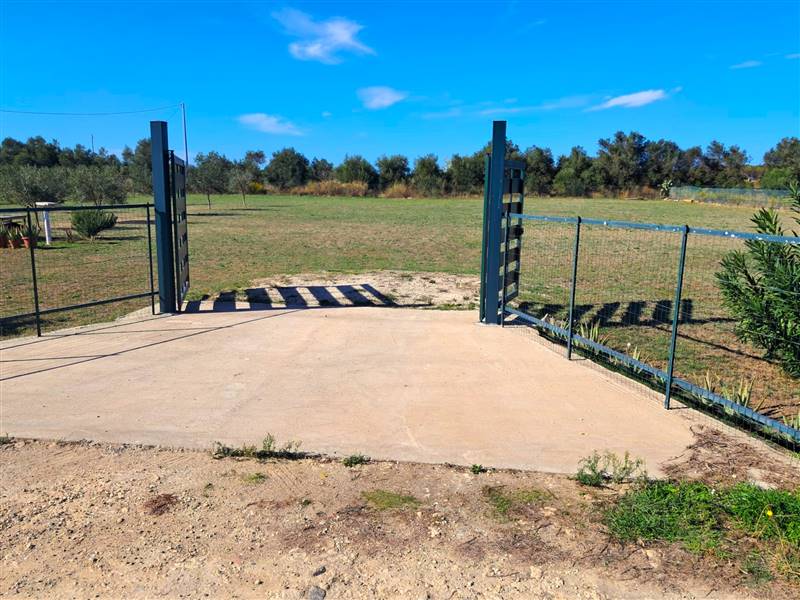 terreno agricolo in vendita a Carlentini
