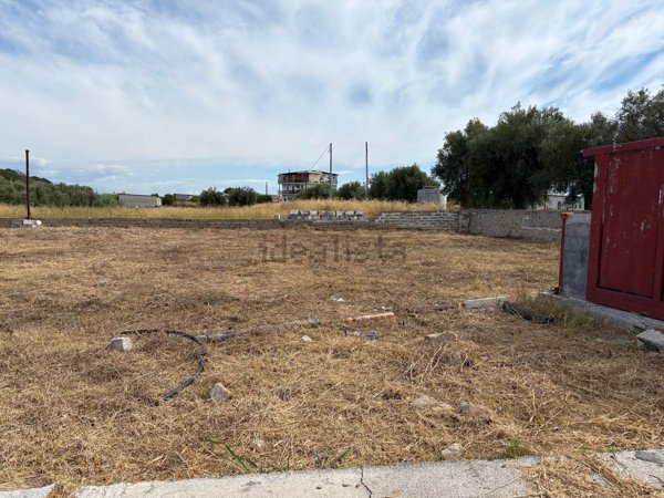 terreno agricolo in vendita a Carlentini