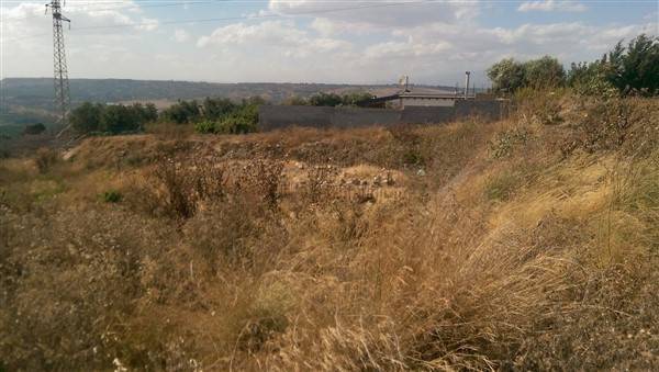 terreno agricolo in vendita a Carlentini
