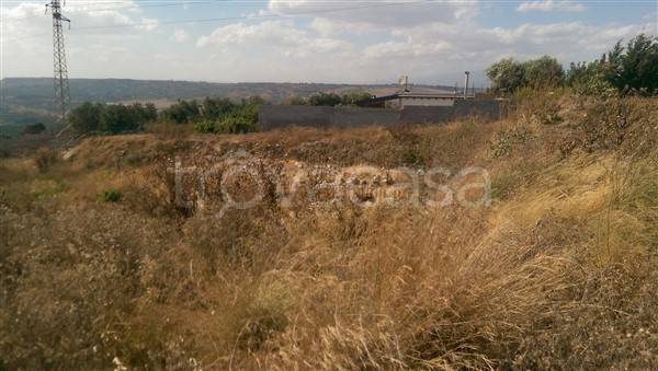 terreno agricolo in vendita a Carlentini