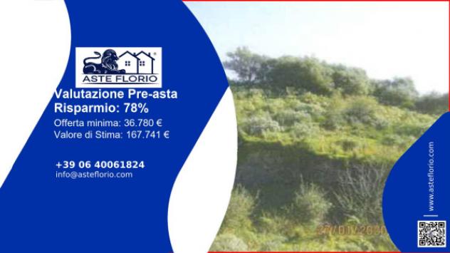 terreno agricolo in vendita a Carlentini