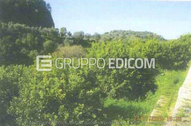 terreno agricolo in vendita a Carlentini