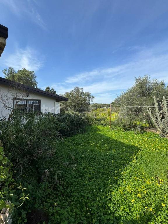 casa indipendente in vendita a Carlentini