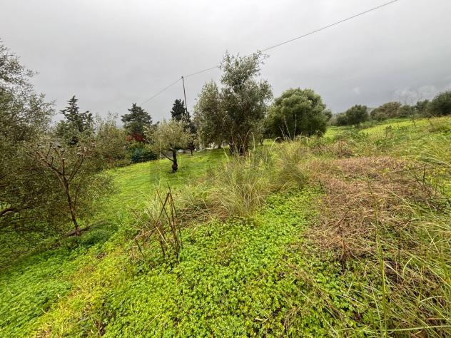 terreno agricolo in vendita a Carlentini