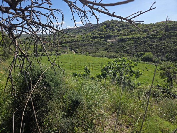 terreno agricolo in vendita a Carlentini