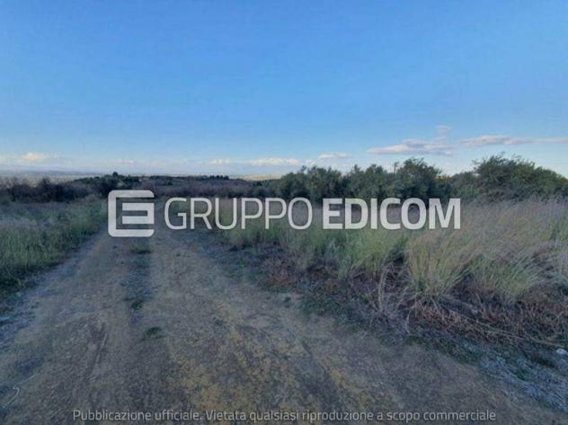 terreno agricolo in vendita a Carlentini