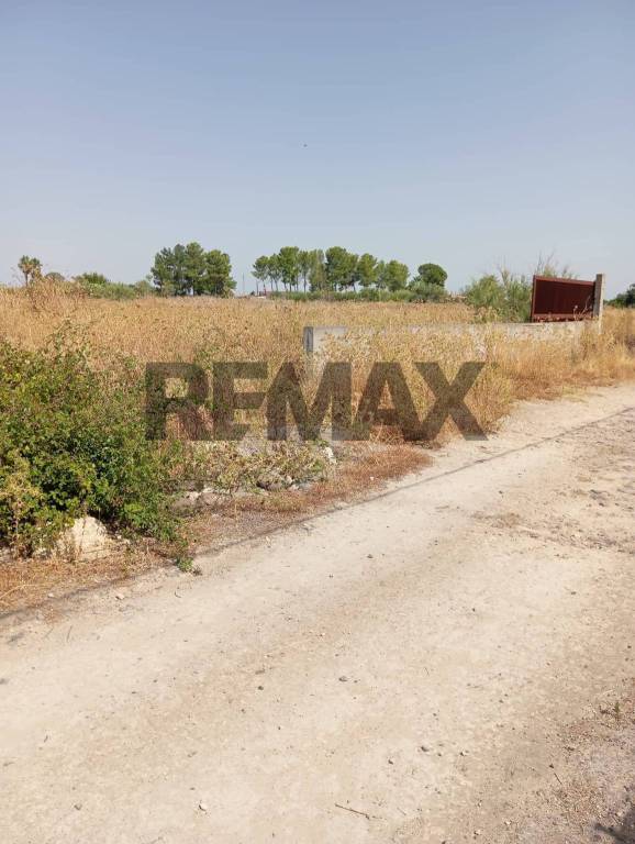 terreno agricolo in vendita a Carlentini in zona Pedagaggi