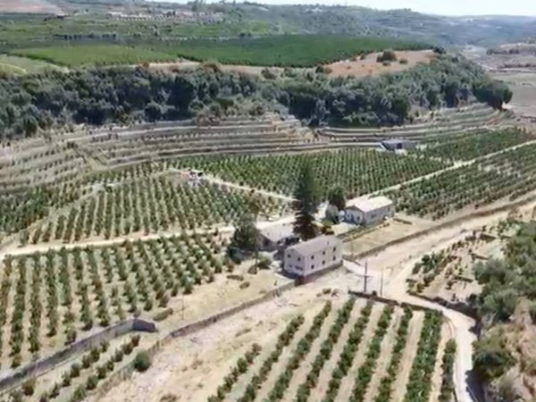 casa indipendente in vendita a Carlentini in zona Pedagaggi