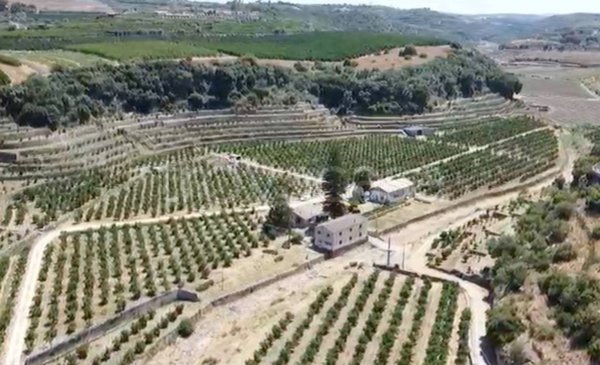 casa indipendente in vendita a Carlentini in zona Pedagaggi