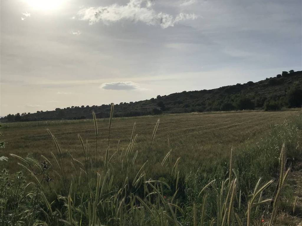 terreno agricolo in vendita a Carlentini in zona Pedagaggi