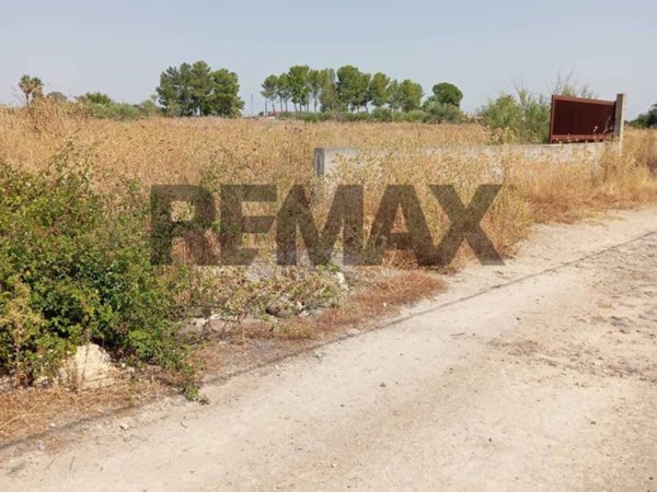 terreno in vendita a Carlentini in zona Pedagaggi