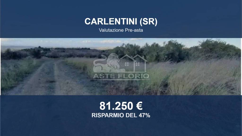 terreno in vendita a Carlentini in zona Pedagaggi