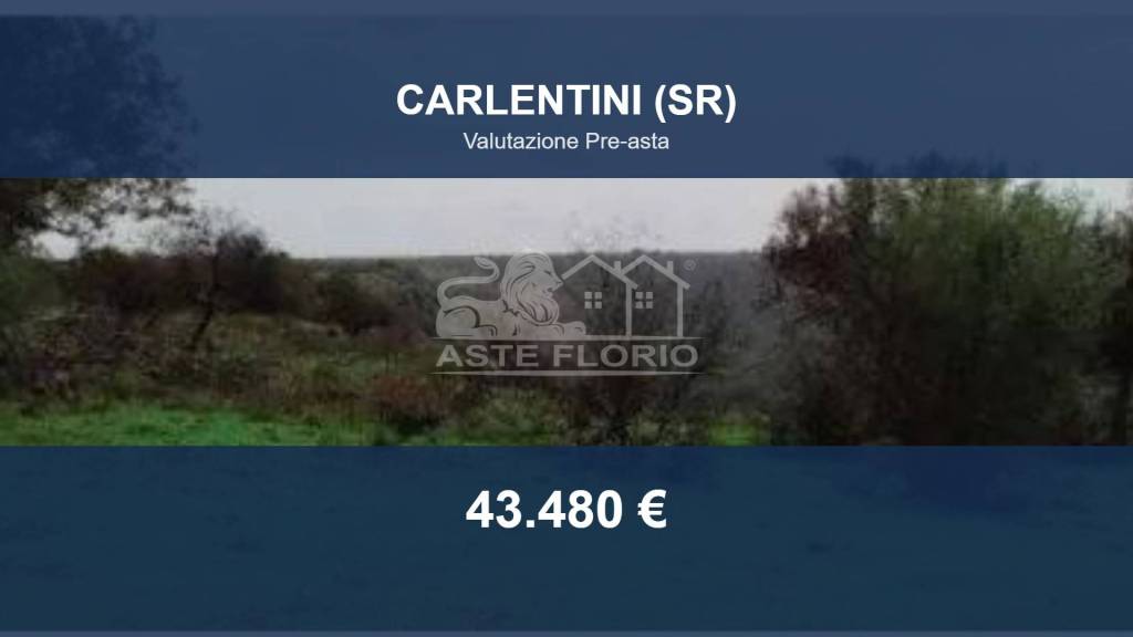 terreno in vendita a Carlentini in zona Pedagaggi