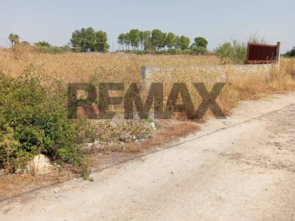 terreno agricolo in vendita a Carlentini in zona Pedagaggi