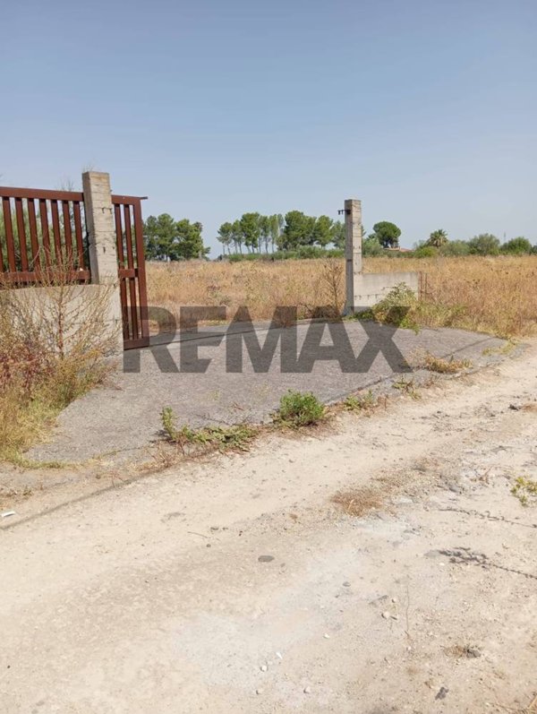 terreno in vendita a Carlentini in zona Pedagaggi