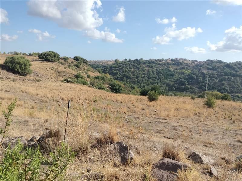 terreno in vendita a Carlentini