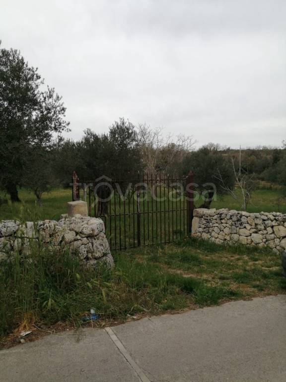 terreno edificabile in vendita a Cassaro