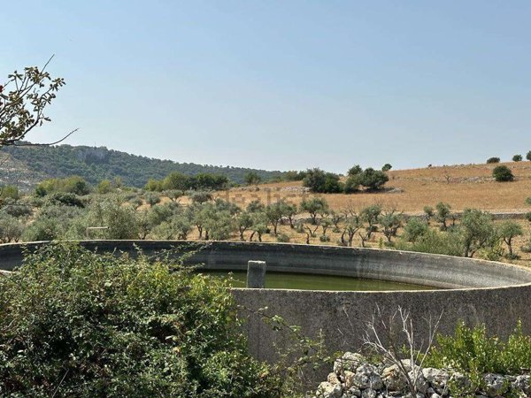 azienda agricola in vendita a Cassaro