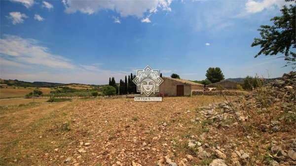 terreno agricolo in vendita a Cassaro