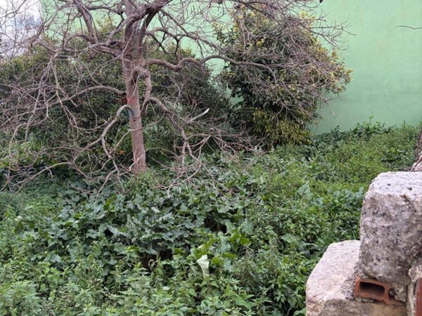 casa indipendente in vendita a Cassaro