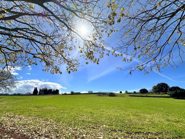 terreno agricolo in vendita a Cassaro