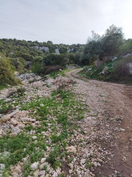 appartamento in vendita a Floridia