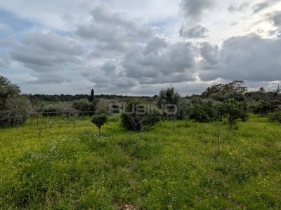 terreno agricolo in vendita a Floridia