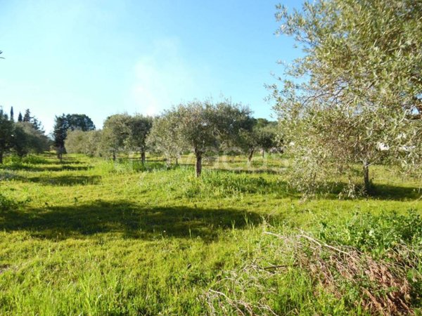 casa indipendente in vendita a Floridia