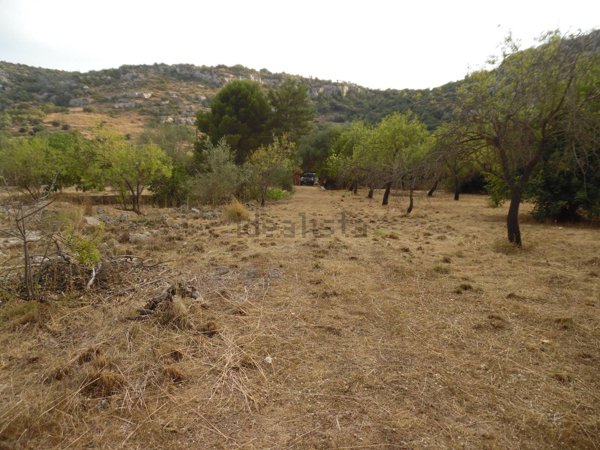 terreno agricolo in vendita a Floridia
