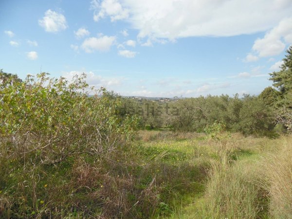 terreno agricolo in vendita a Floridia