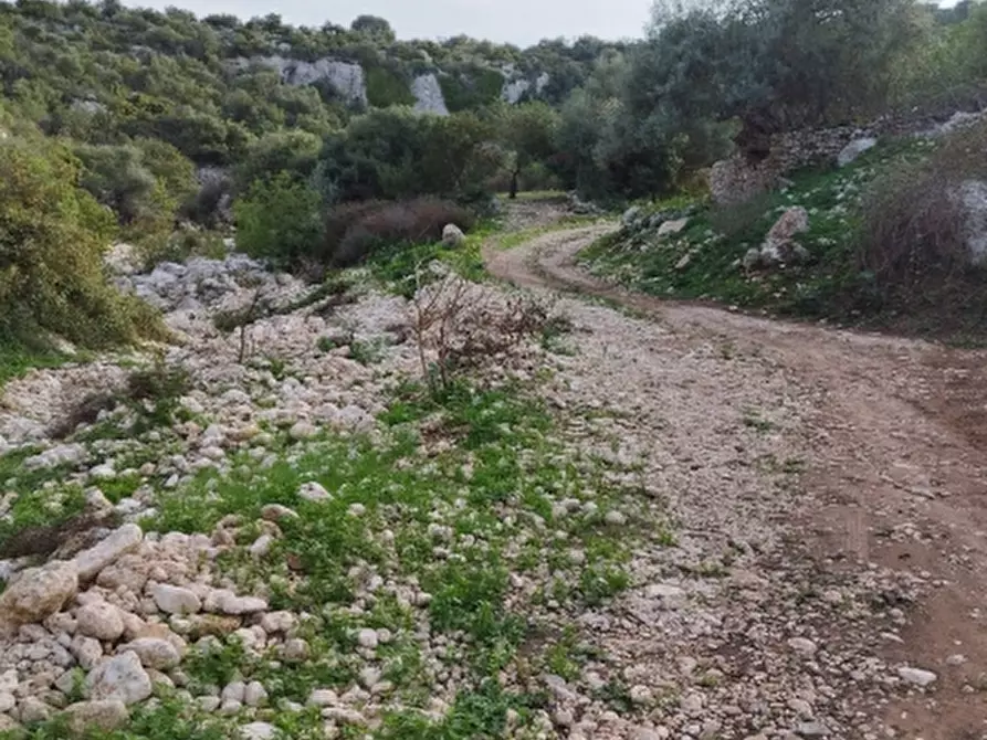 terreno agricolo in vendita a Floridia