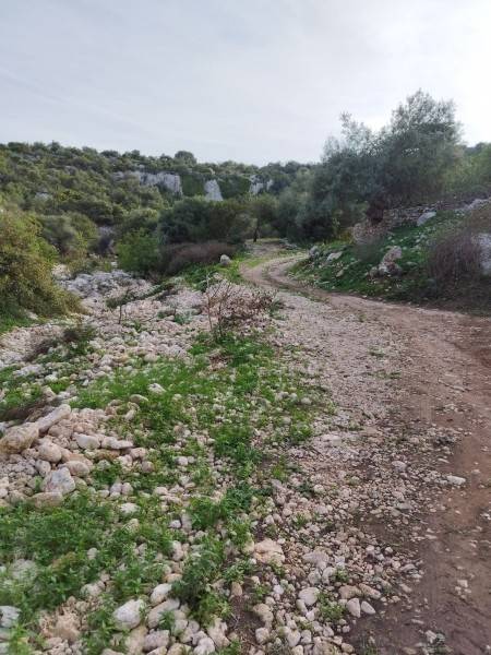 terreno agricolo in vendita a Floridia