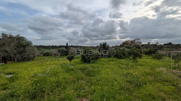 terreno agricolo in vendita a Floridia