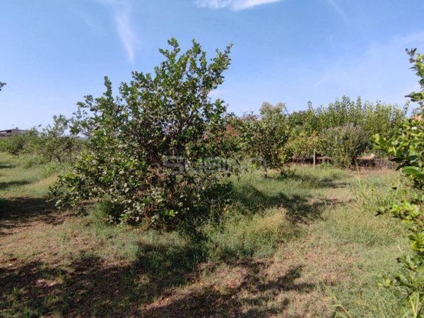 terreno agricolo in vendita a Floridia