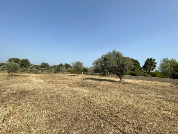 terreno agricolo in vendita a Floridia