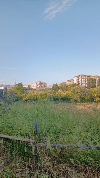 terreno agricolo in vendita a Floridia