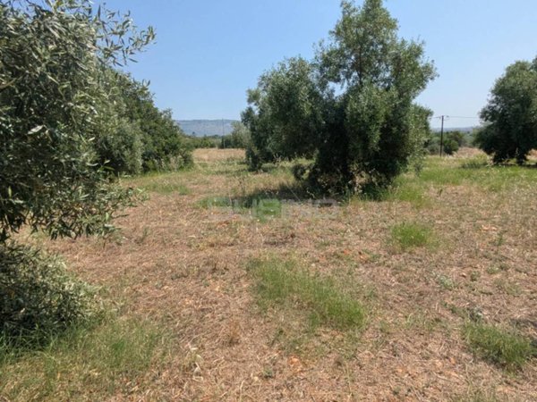 terreno agricolo in vendita a Floridia