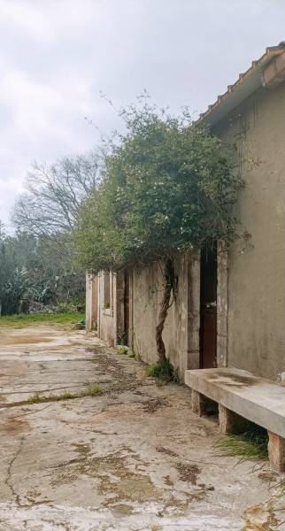terreno agricolo in vendita a Floridia