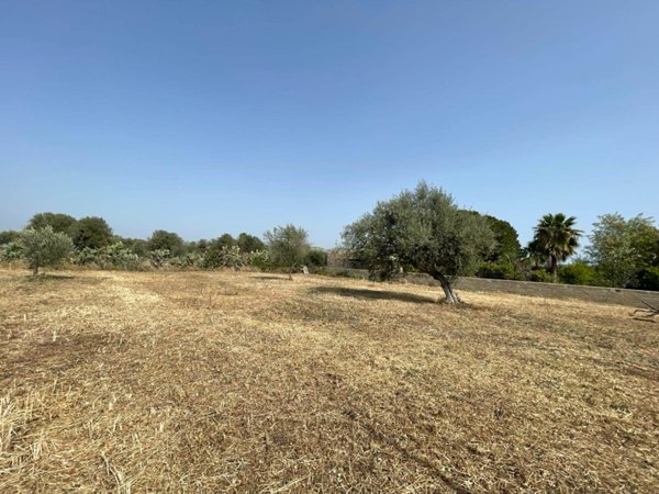 terreno agricolo in vendita a Floridia