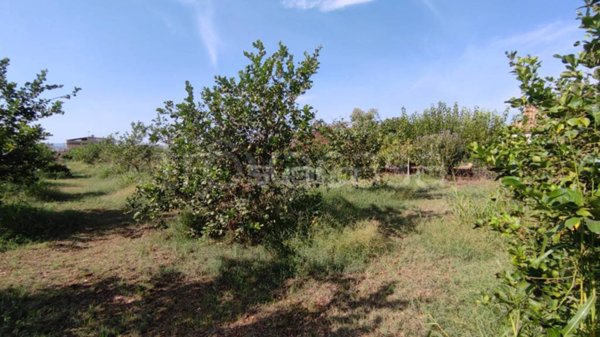 terreno agricolo in vendita a Floridia