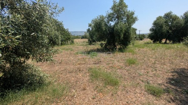 terreno agricolo in vendita a Floridia