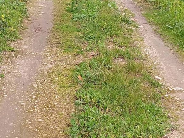 terreno agricolo in vendita a Floridia