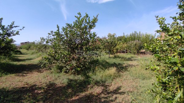 terreno agricolo in vendita a Floridia