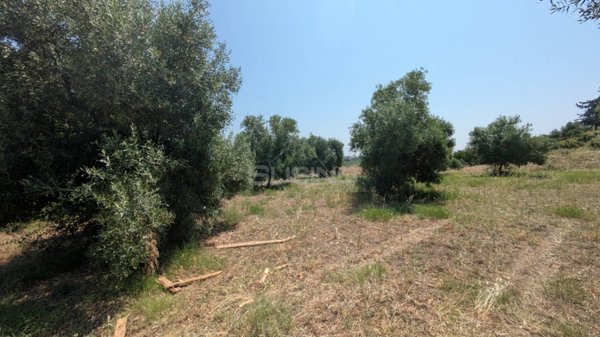 terreno agricolo in vendita a Floridia
