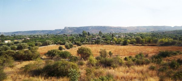 terreno agricolo in vendita a Floridia