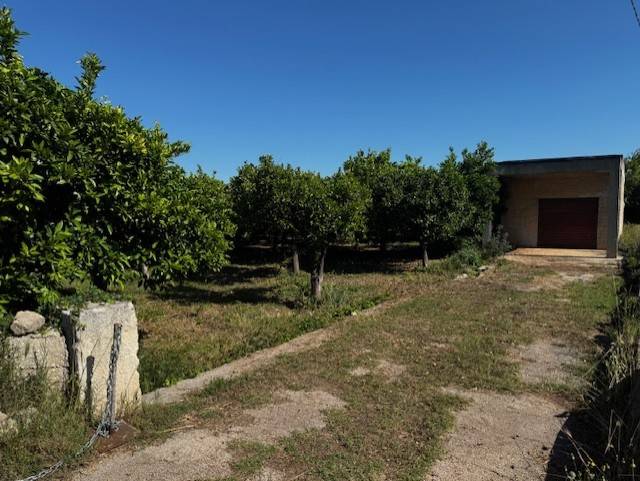 terreno agricolo in vendita a Floridia